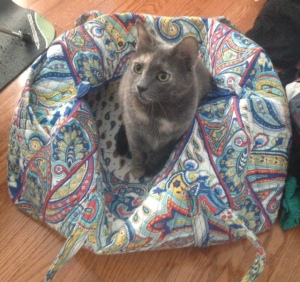 Violet in Bag